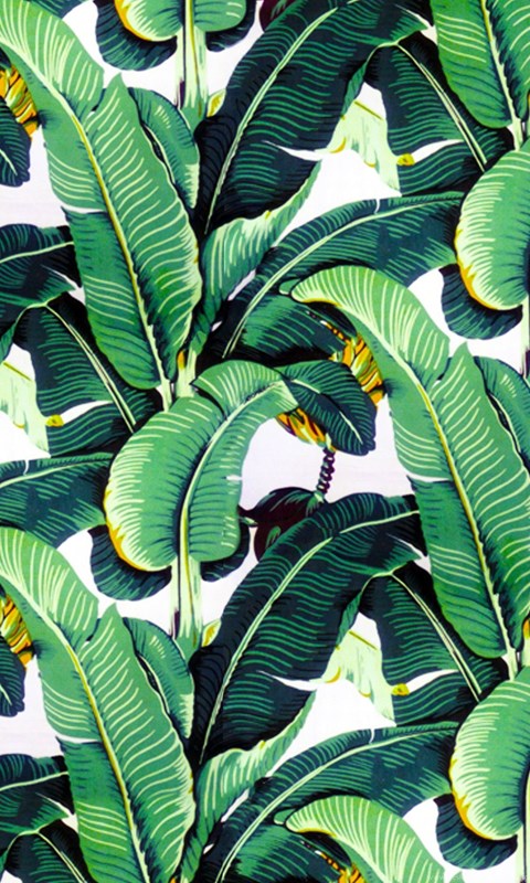 banana leaf wallpaper,leaf,plant,flower,tree,flowering plant