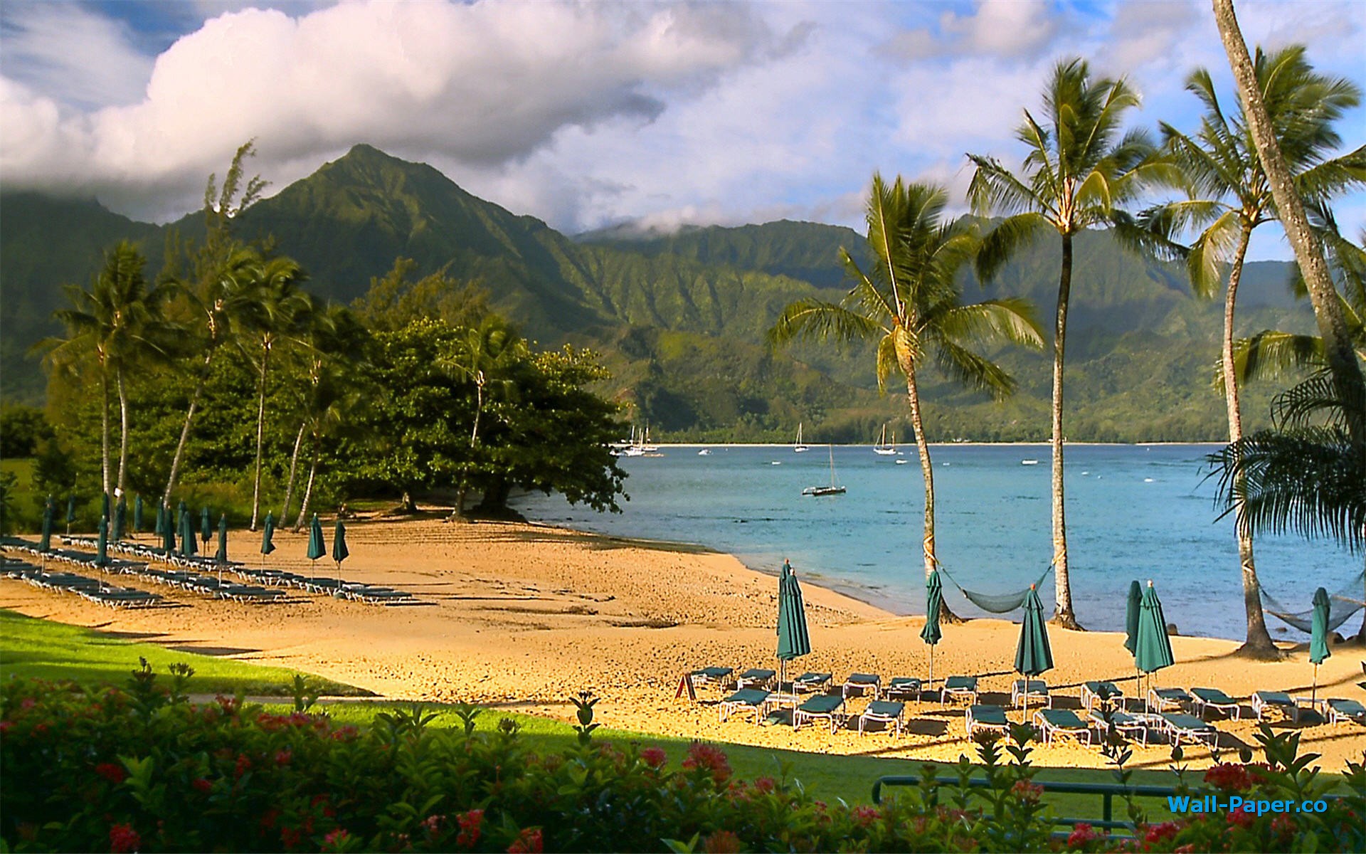 fond d'écran hawaii,la nature,paysage naturel,arbre,rive,ciel