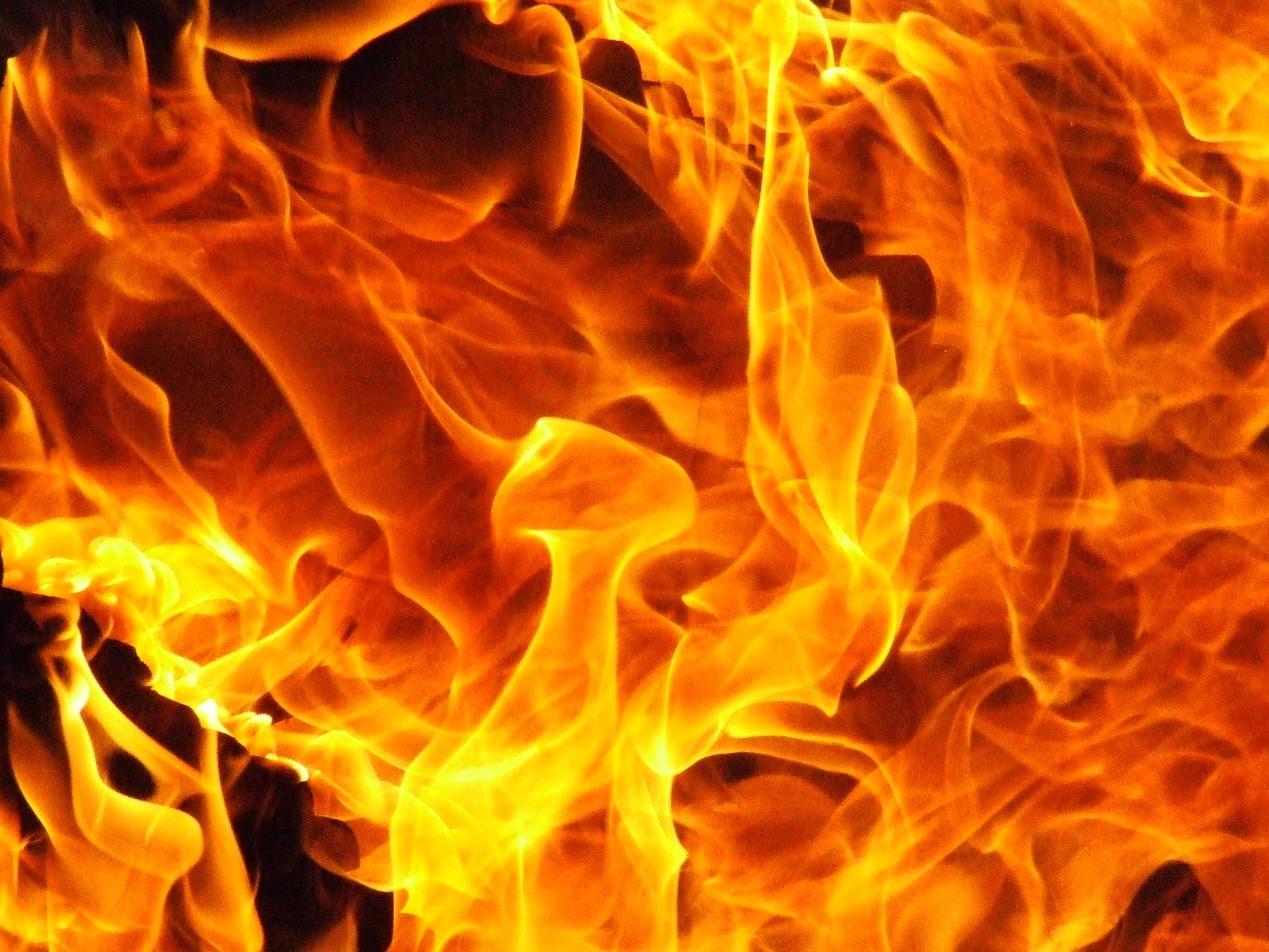 fondo de pantalla de llama,fuego,fuego,calor
