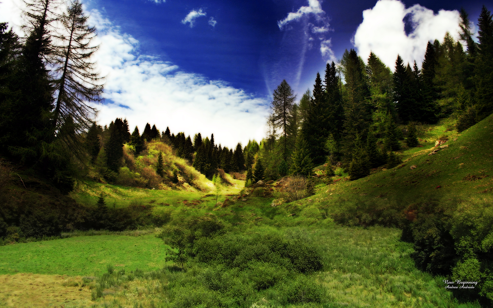 alle neuen tapeten,natürliche landschaft,natur,himmel,berg,baum