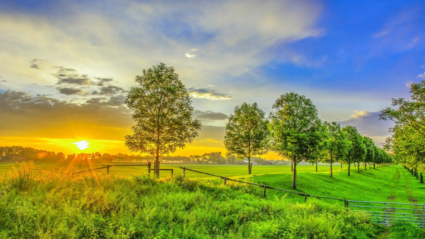 hd wallpaper hd wallpaper,natural landscape,nature,sky,tree,pasture