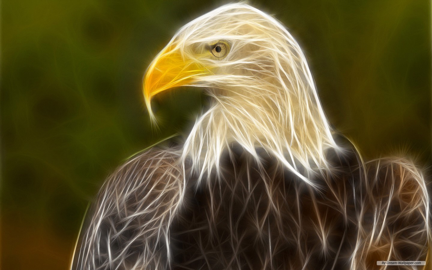 3d animal wallpaper,bird,vertebrate,bald eagle,bird of prey,eagle