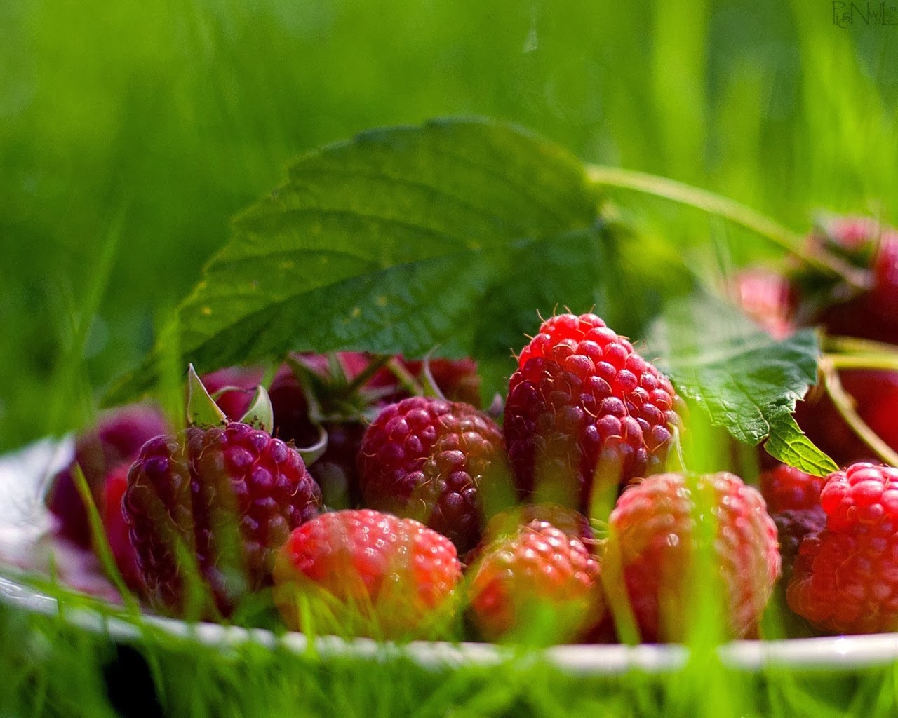 fruit wallpaper hd,plant,berry,fruit,strawberry,west indian raspberry 