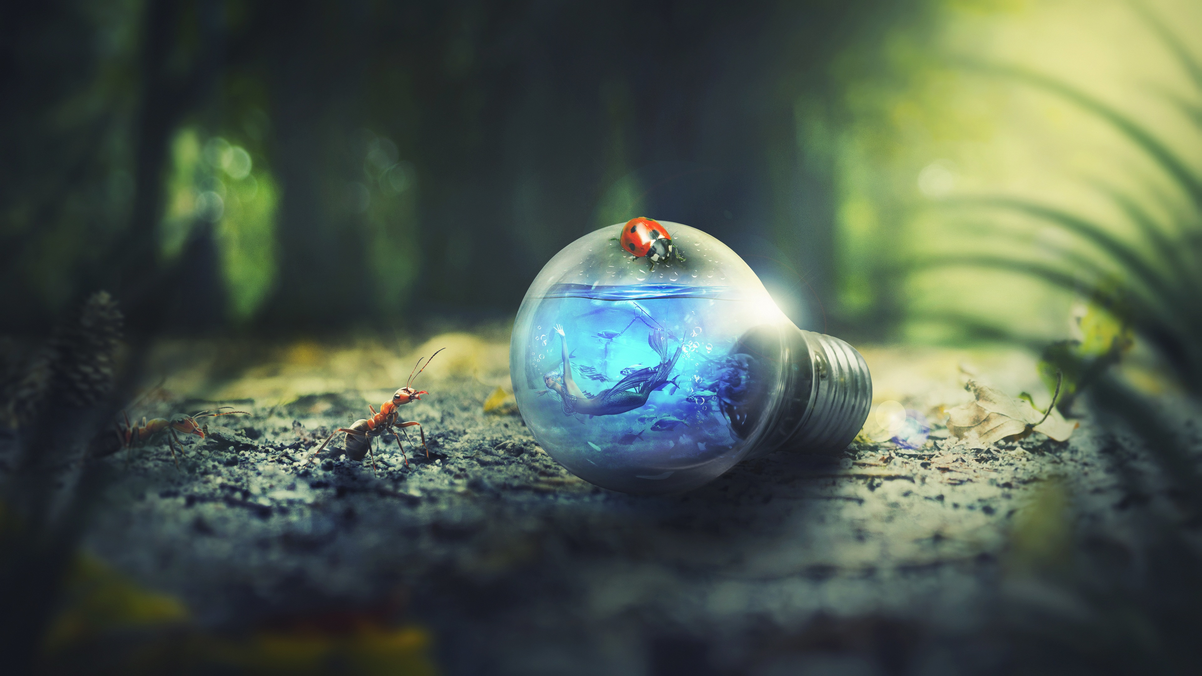 background wallpaper for photoshop,light,natural environment,sphere,photography,macro photography