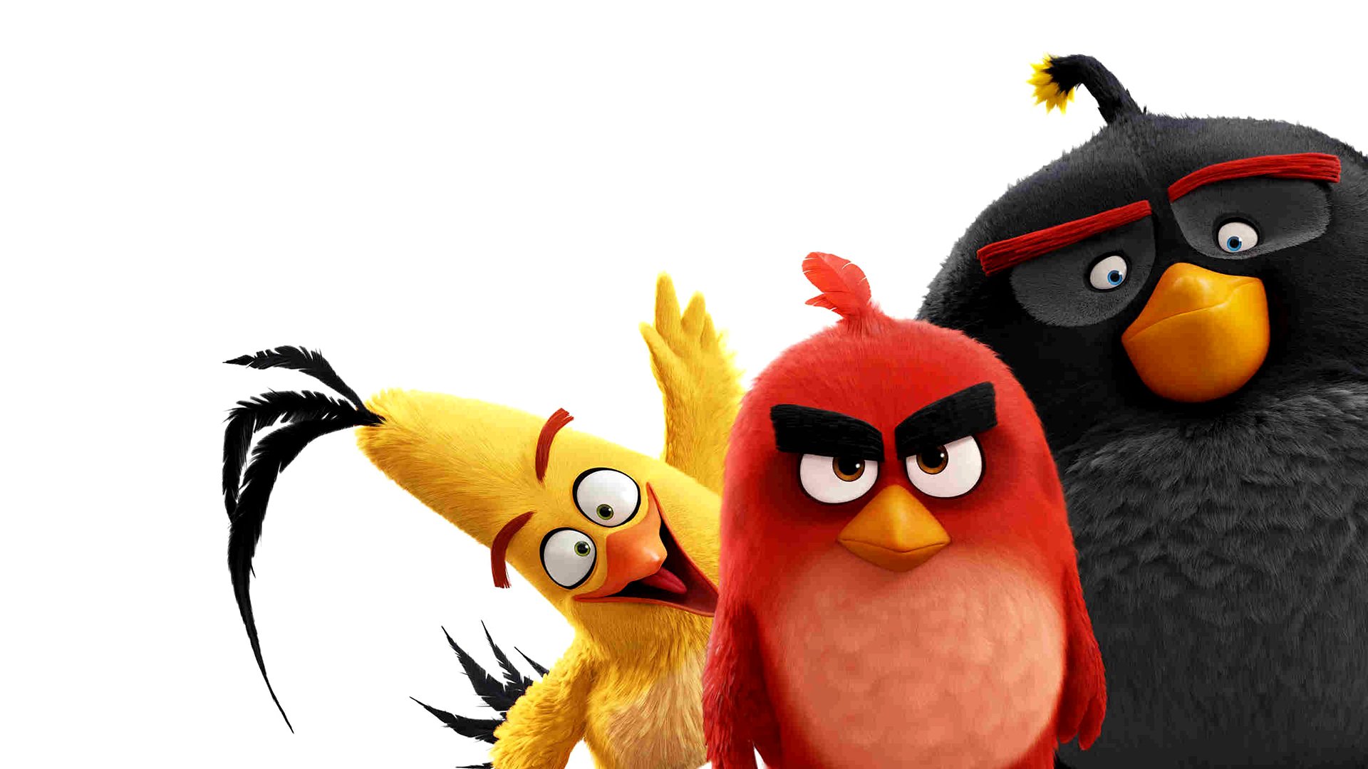 oiseaux en colère fond d'écran hd,angry birds,dessin animé,jouet,jouet en peluche,logiciel de jeu vidéo