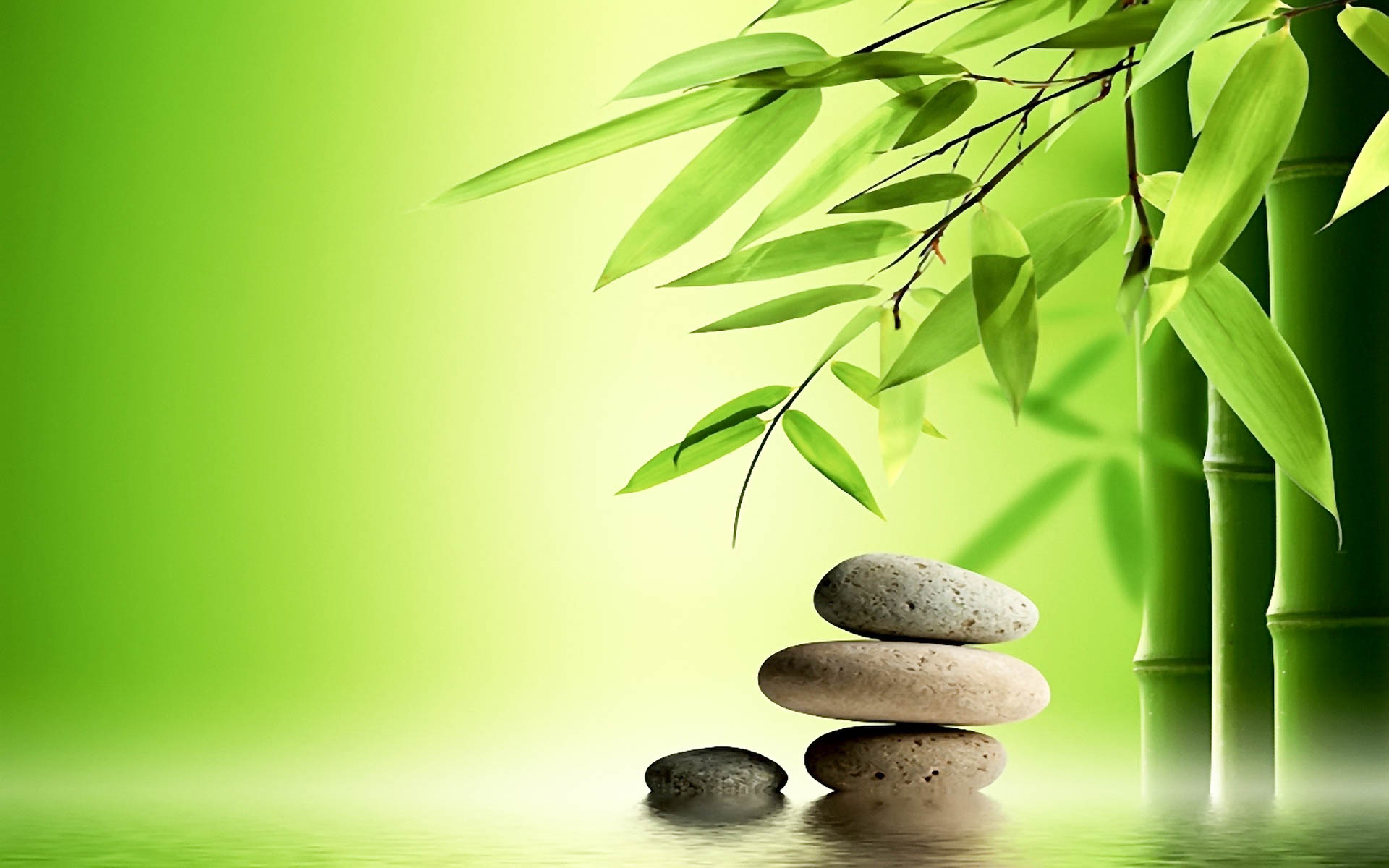 fondo de pantalla zen,verde,naturaleza,hoja,paisaje natural,árbol