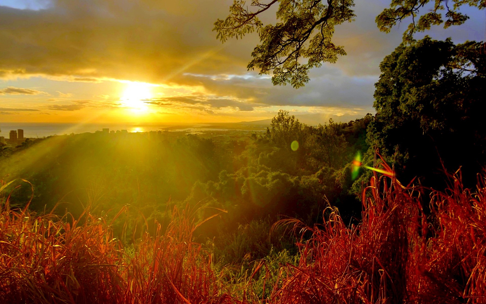 sunshine wallpaper,natural landscape,nature,sky,vegetation,sunrise 