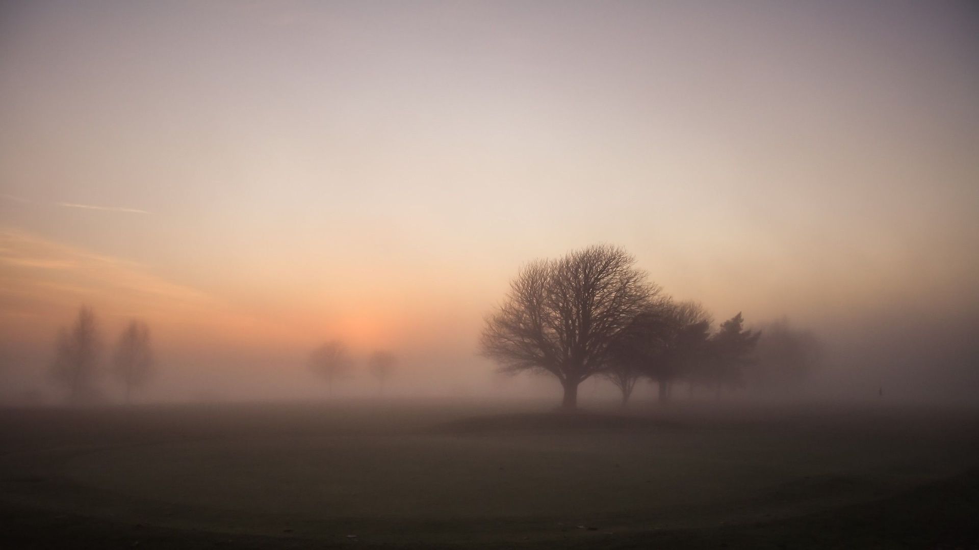 霧の壁紙,空,靄,霧,自然の風景,朝