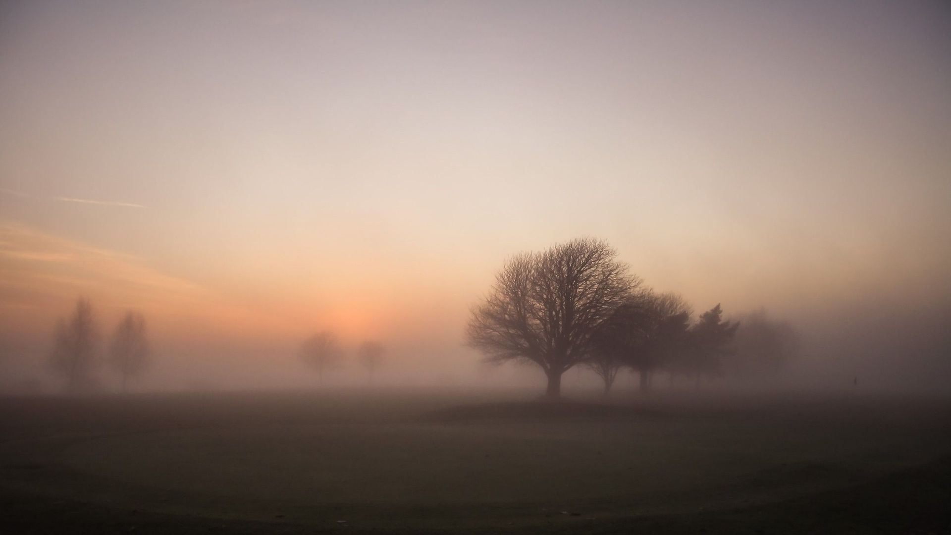 carta da parati nebbia,cielo,nebbia,nebbia,paesaggio naturale,mattina