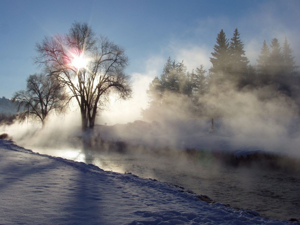 fondo de pantalla de niebla,naturaleza,cielo,invierno,paisaje natural,árbol
