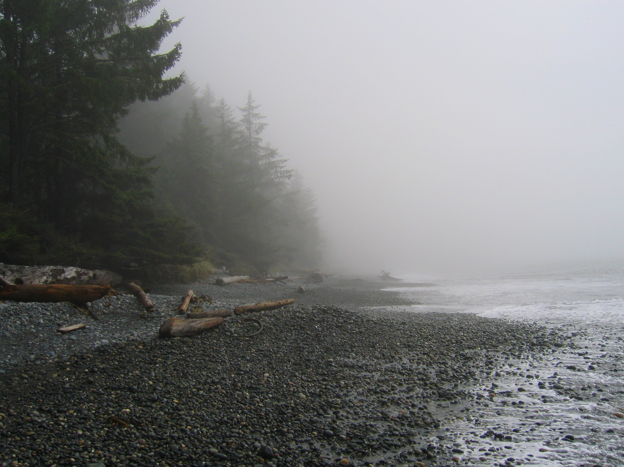 fog wallpaper,fog,mist,atmospheric phenomenon,sky,shore