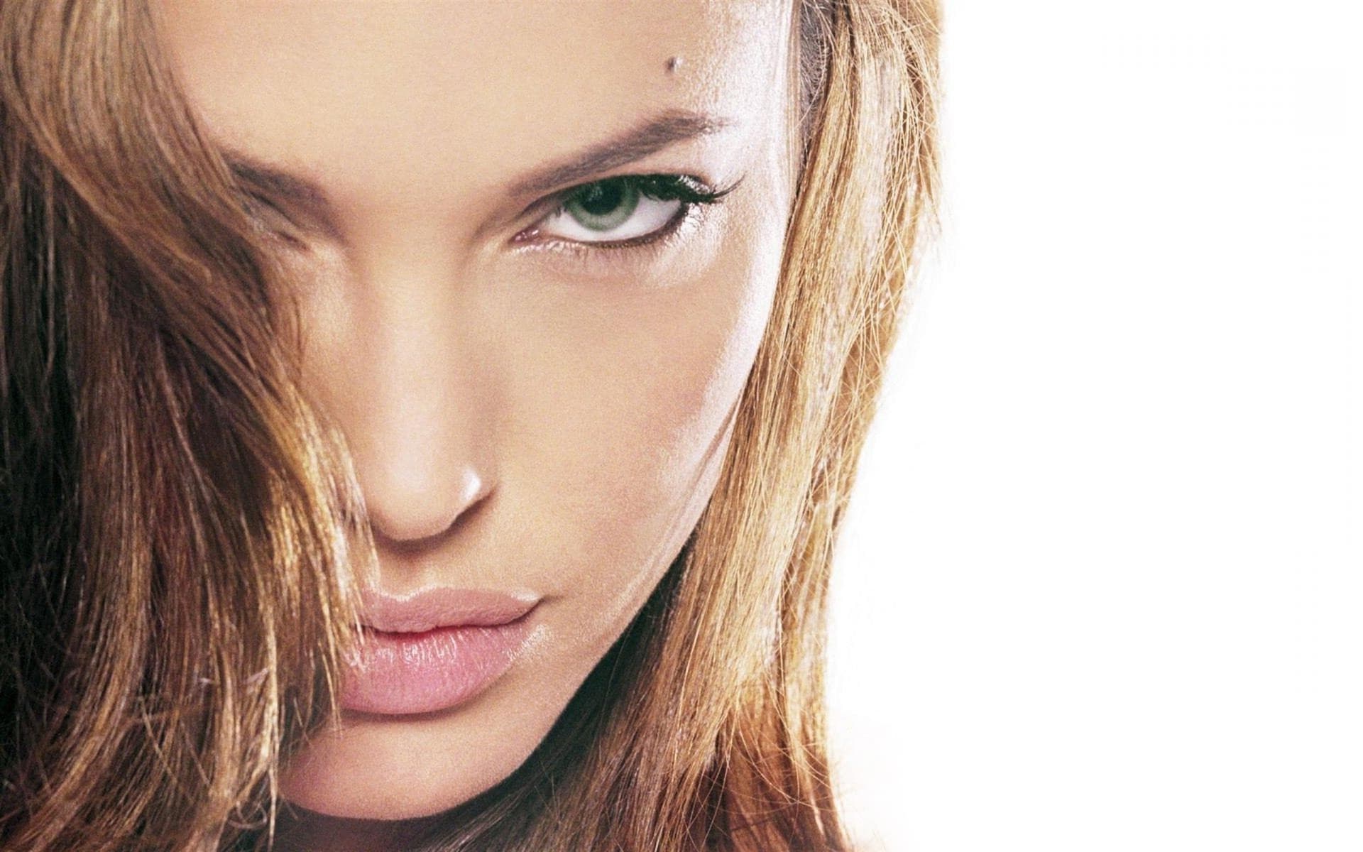 angelina jolie wallpaper,face,hair,eyebrow,skin,lip