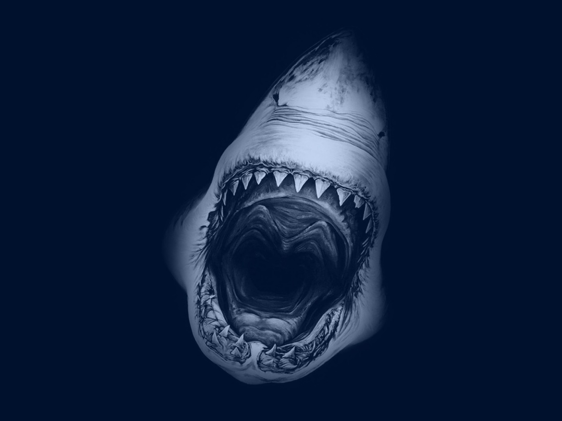 fondo de pantalla blanco full hd,pez,agua,tiburón,gran tiburón blanco,oscuridad