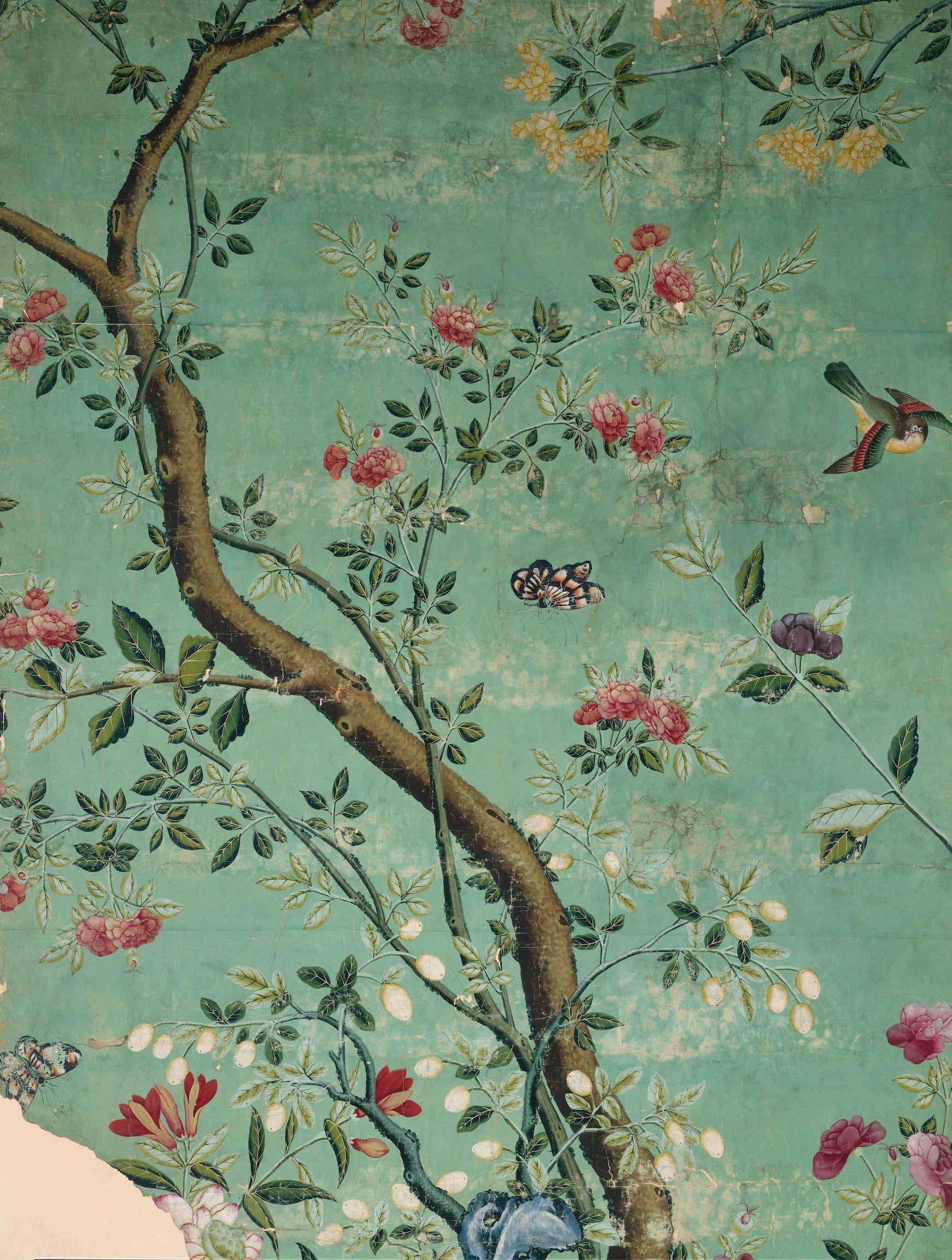 chinoiserie wallpaper,branch,tree,botany,plant,textile