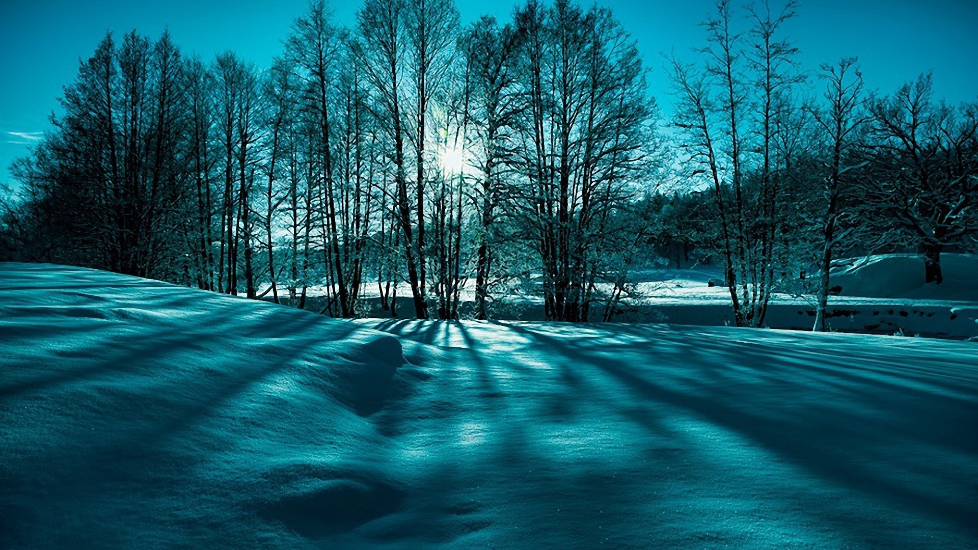 wallpaper scene,blue,nature,natural landscape,winter,tree