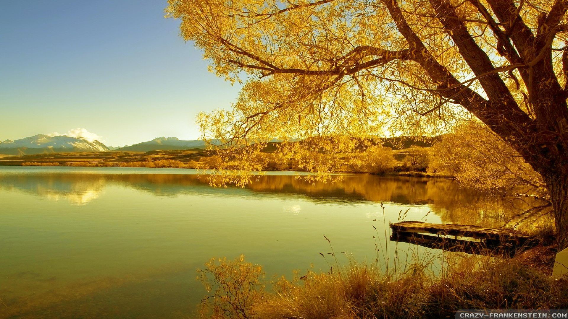 壁紙シーン,自然の風景,自然,反射,木,湖