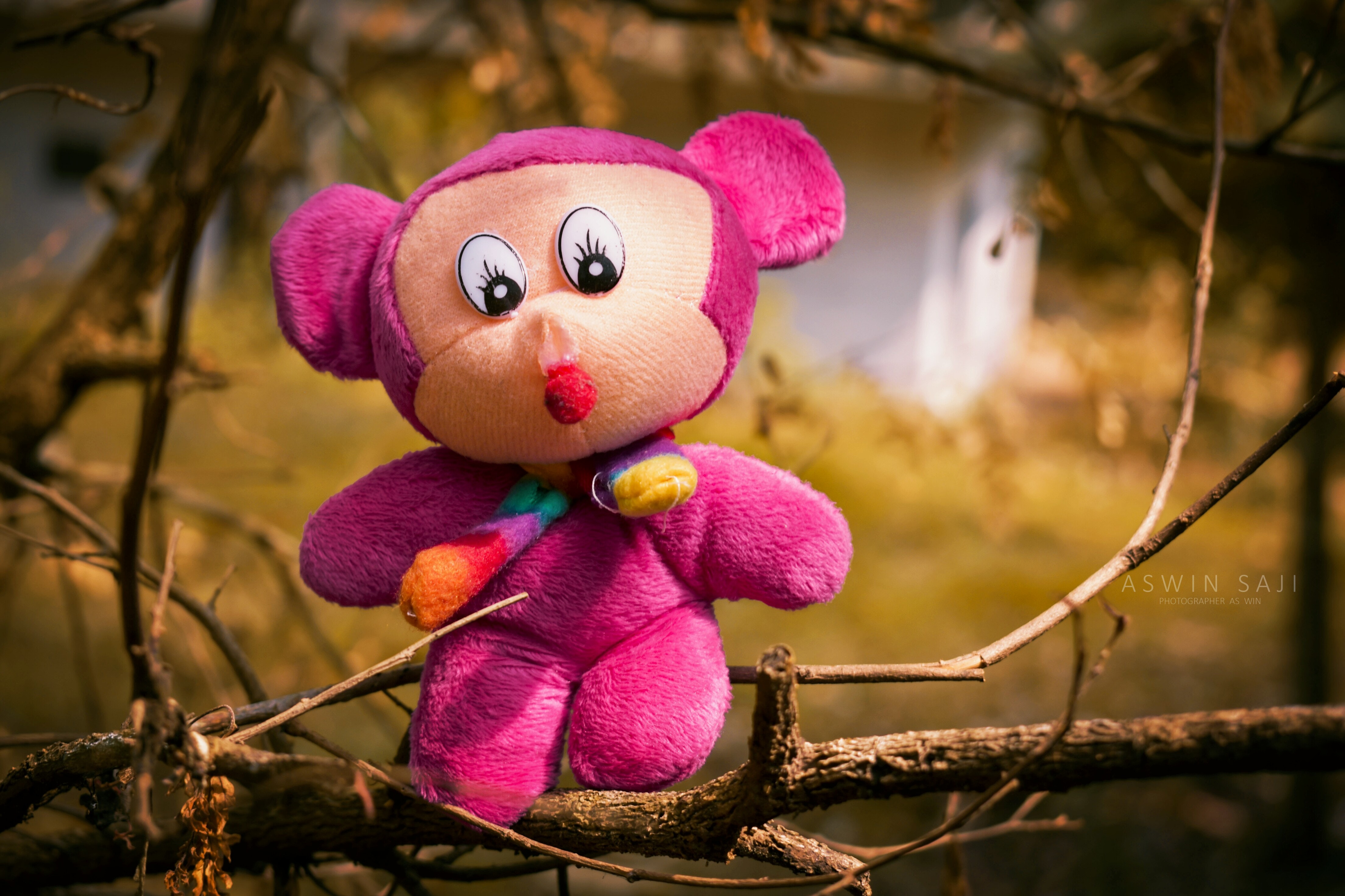 toys wallpaper,stuffed toy,pink,branch,toy,plush