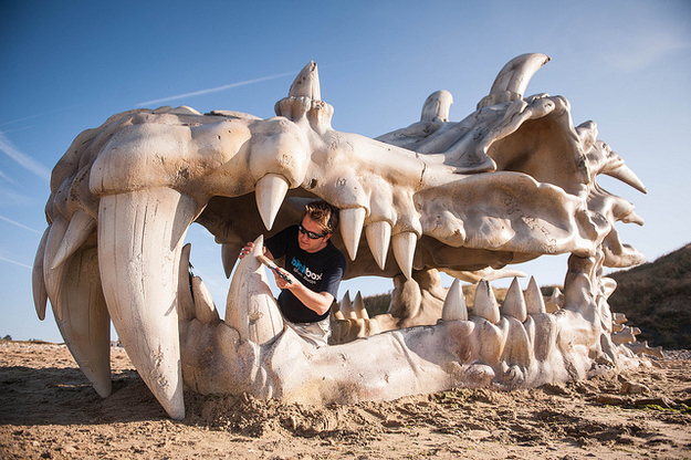 tapete ular bergerak,kunst,skulptur,fotografie,landschaft