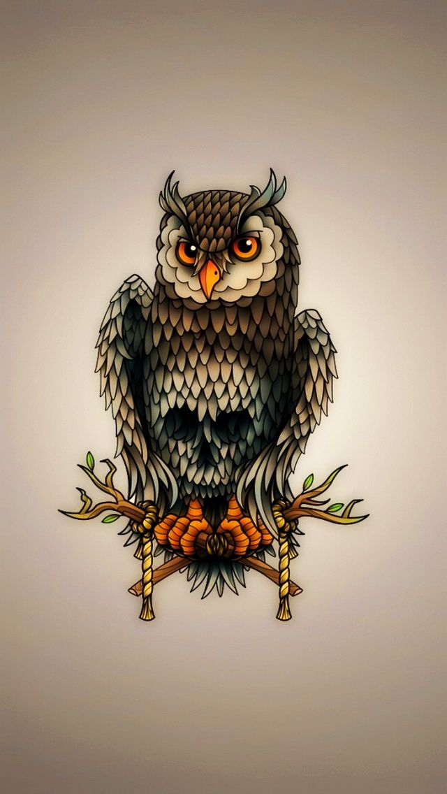owl wallpaper iphone,owl,bird,bird of prey,eastern screech owl,branch