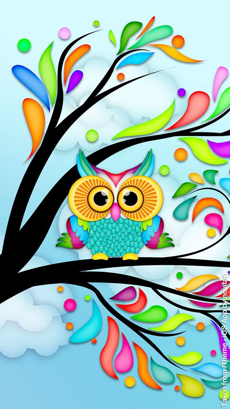 owl wallpaper iphone,owl,bird,visual arts,illustration,coloring book