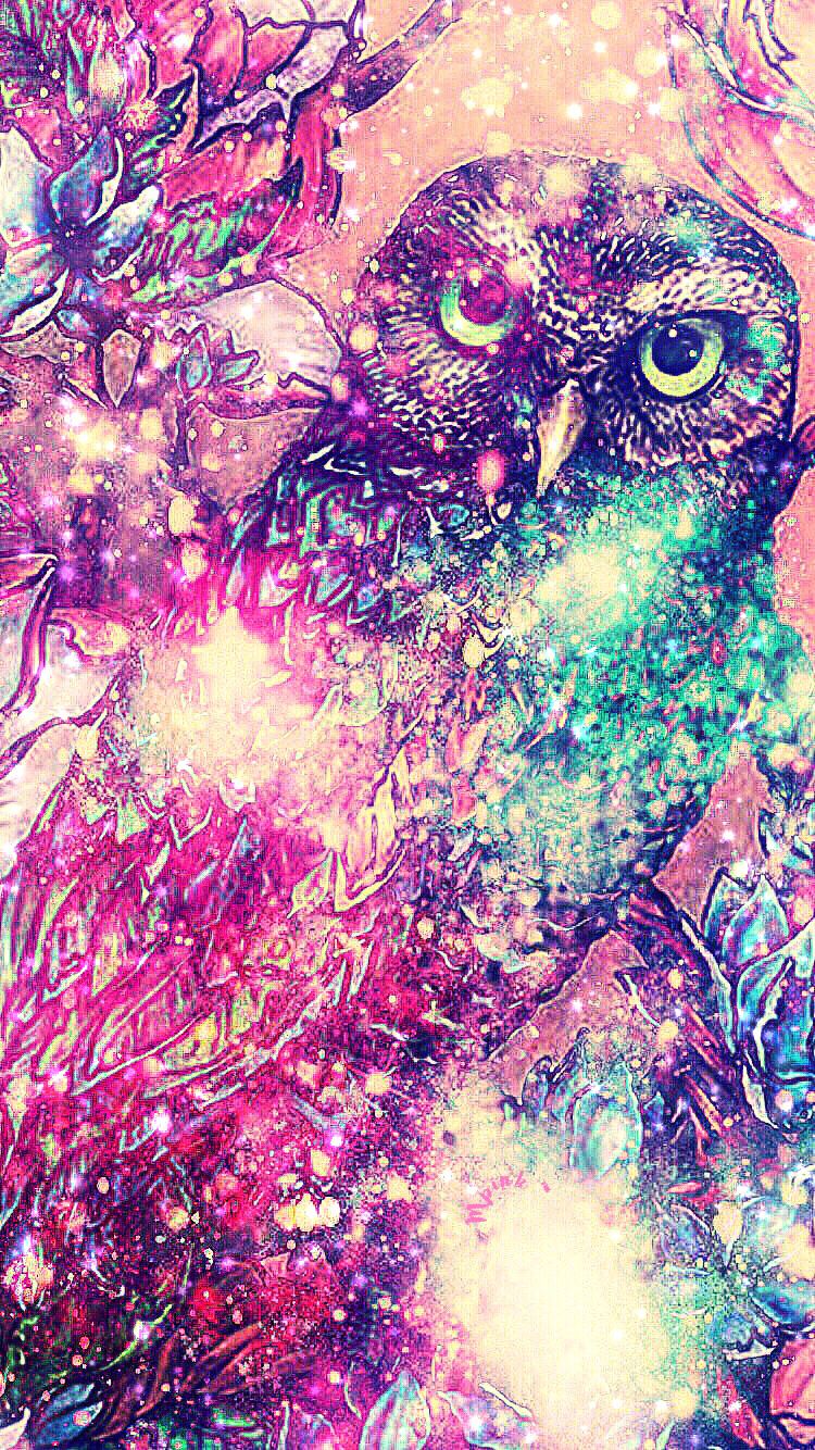 fond d'écran hibou iphone,hibou,violet,violet,illustration,oiseau