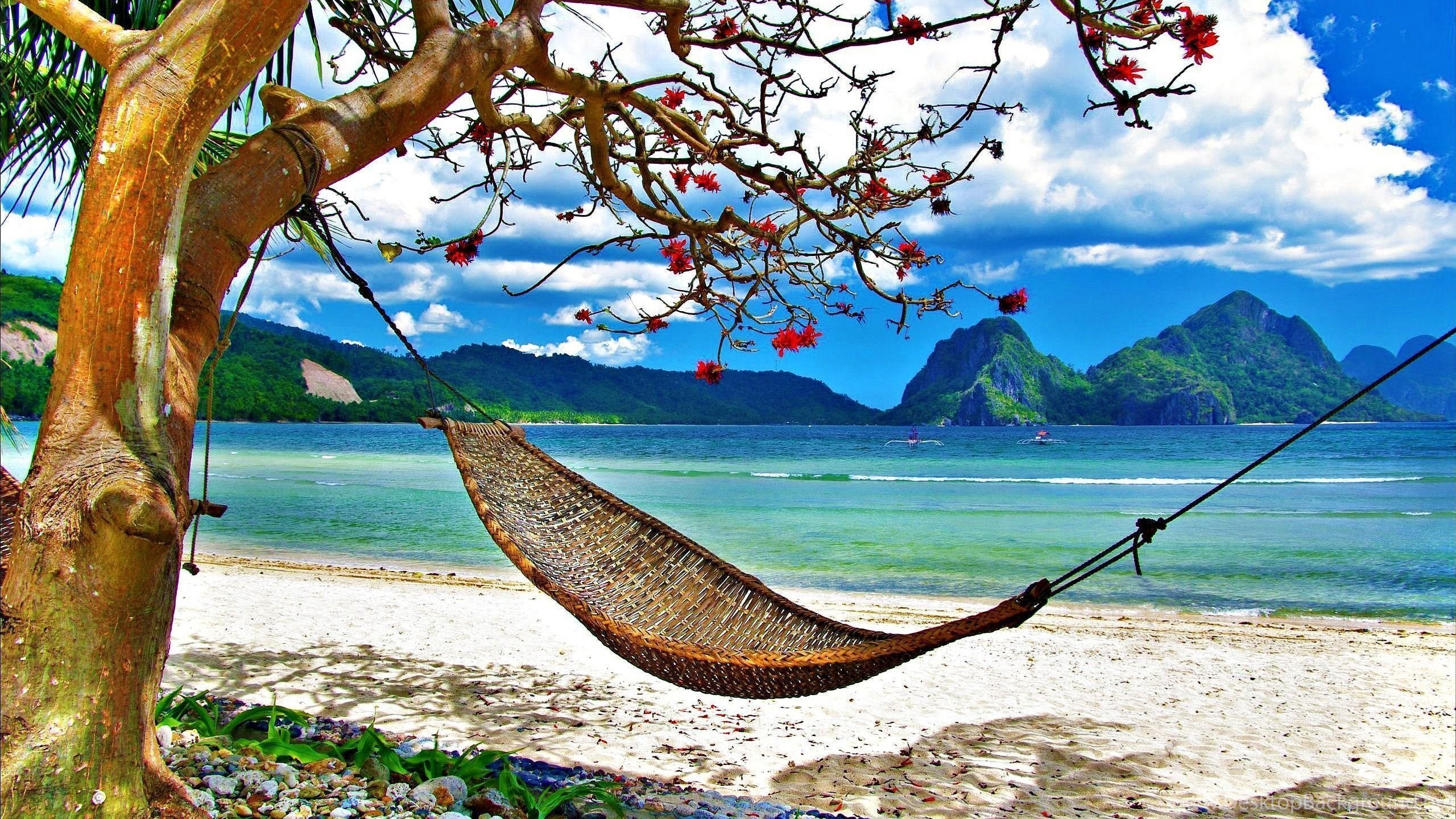 travel wallpaper hd,hammock,tree,sky,travel,tourism