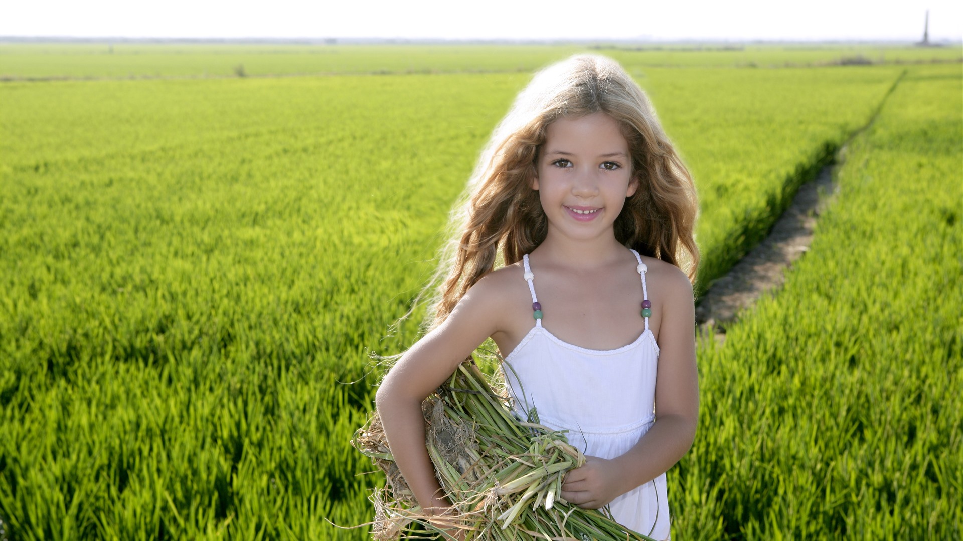 fond d'écran fille douce,champ,herbe,agriculture,surgir,ferme