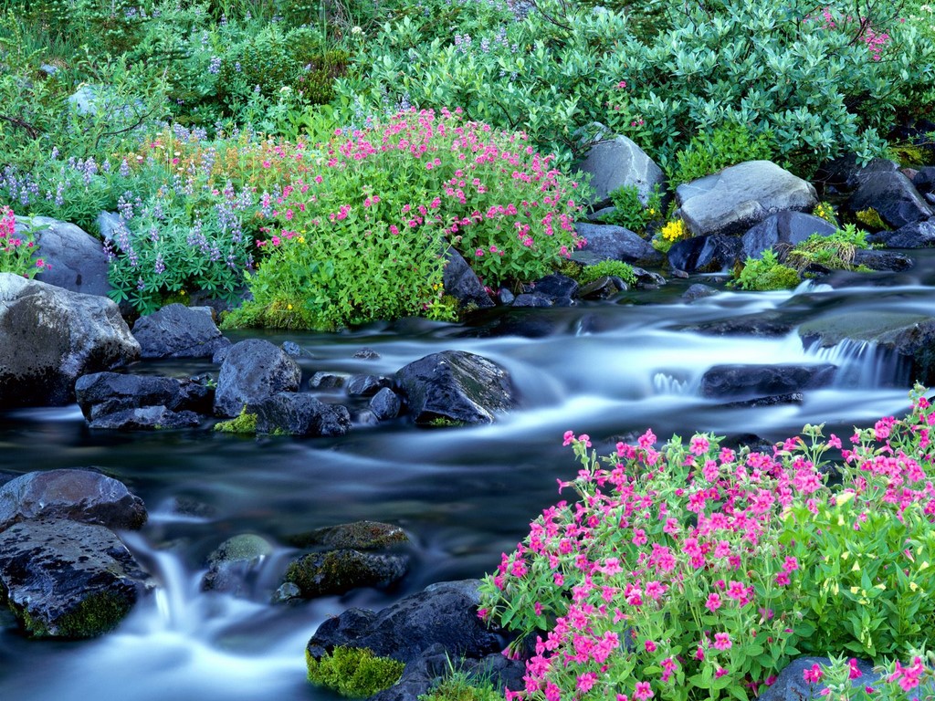春の壁紙のhd,水域,自然の風景,自然,水資源,水路