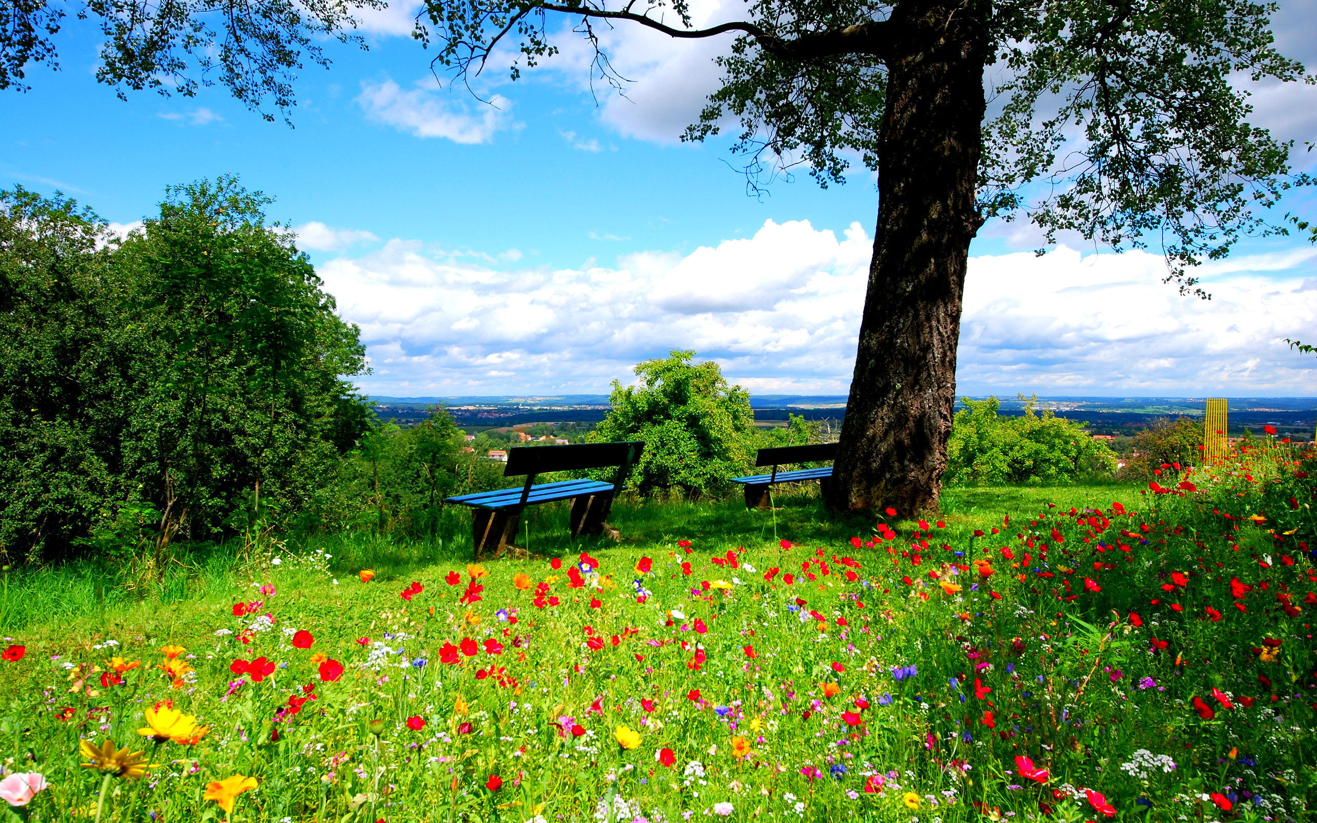 春の壁紙のhd,自然の風景,自然,牧草地,空,草原