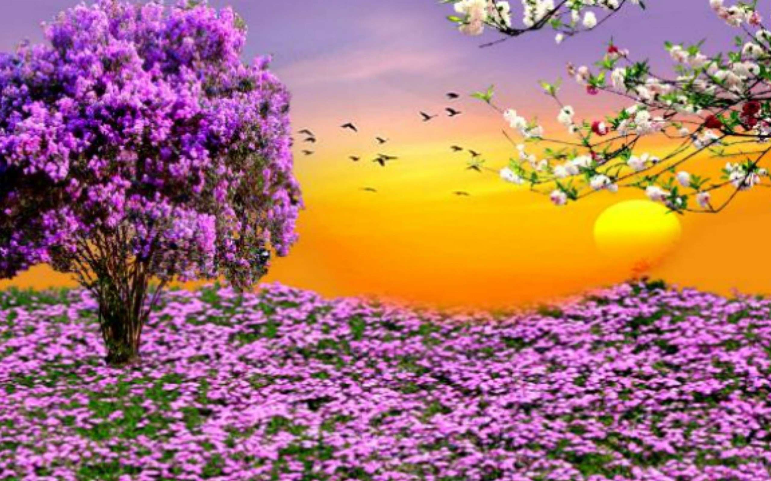 春の壁紙のhd,花,ラベンダー,紫の,工場,春