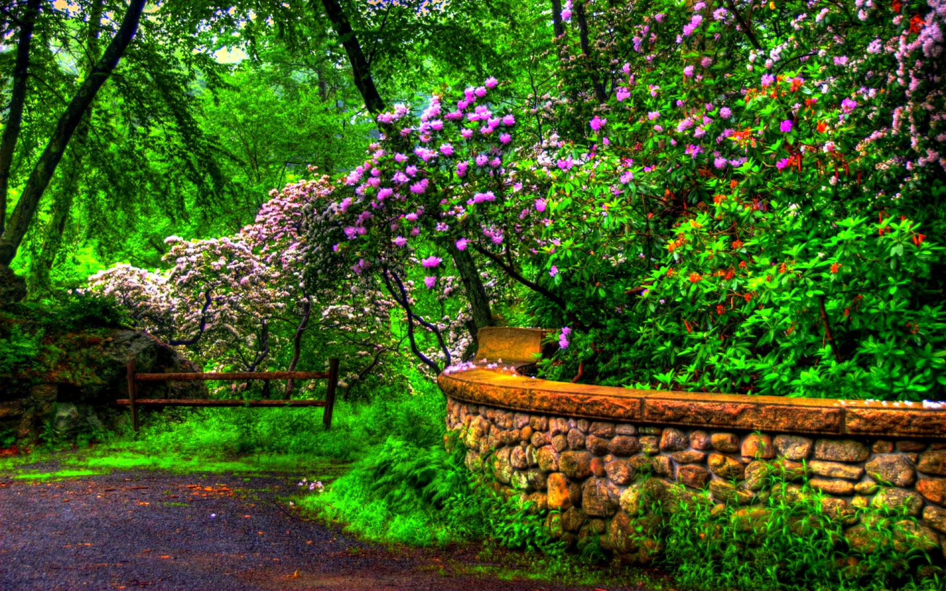 fond d'écran printemps hd,la nature,arbre,vert,paysage naturel,plante