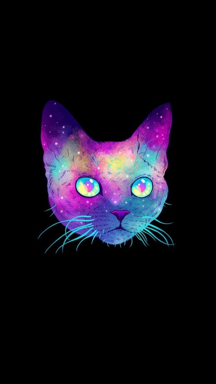 고양이 배경 tumblr,고양이,중소형 고양이,felidae,보라색,제비꽃