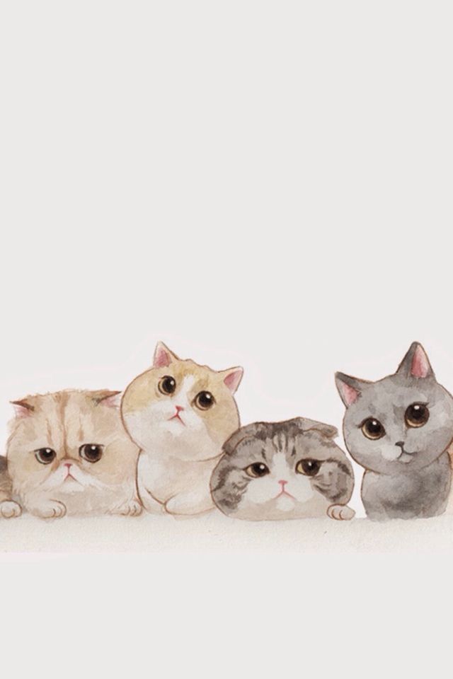 고양이 배경 tumblr,고양이,중소형 고양이,felidae,하얀,고양이 새끼