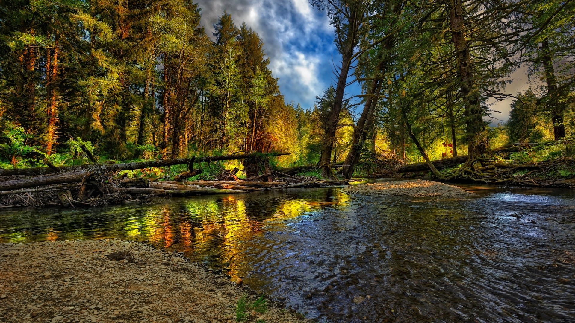 hdr wallpaper,paisaje natural,naturaleza,reflexión,árbol,agua