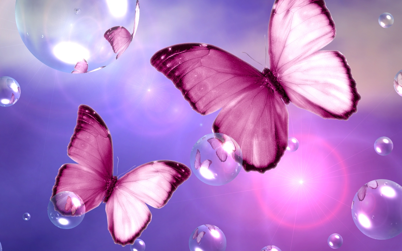 pink butterfly wallpaper,butterfly,insect,moths and butterflies,pink,violet