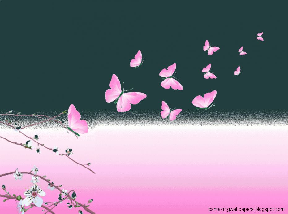 핑크 나비 벽지,분홍,본문,나비,폰트,날개