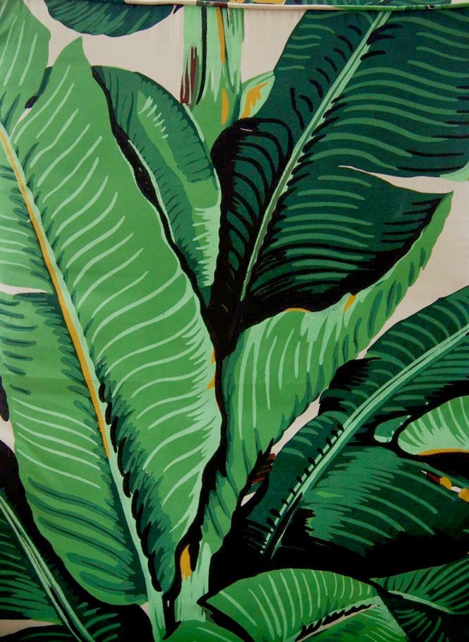 ビバリーヒルズホテル壁紙,葉,工場,花,バナナの葉,開花植物 (#92014) - WallpaperUse