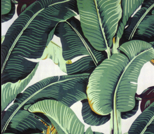 beverly hills hotel wallpaper,leaf,banana leaf,terrestrial plant,plant,flower