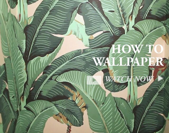 beverly hills hotel wallpaper,leaf,plant,banana leaf,flower,terrestrial plant