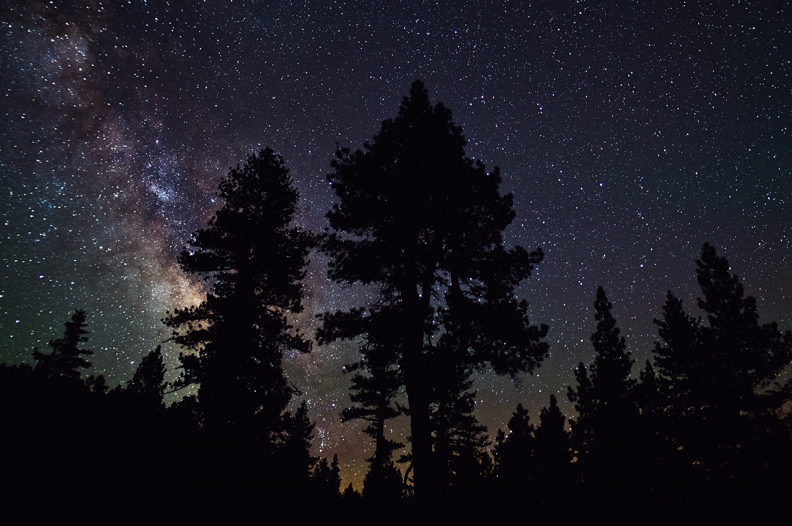 fondos de pantalla de chrome os,cielo,árbol,naturaleza,noche,abeto negro de hoja corta