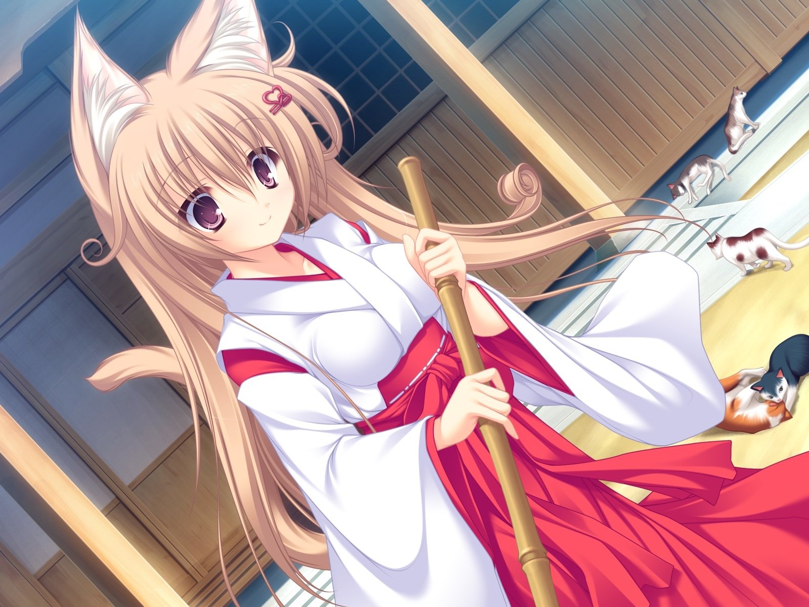 214769 Title Anime Neko Koi Ryuudou Misaki Wallpaper - Anime Neko