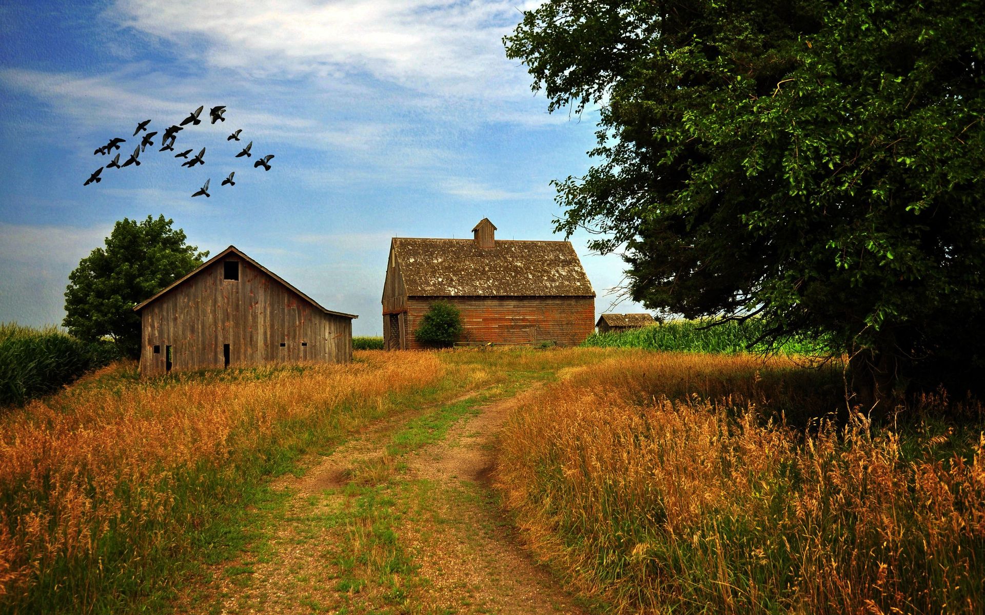 farmhouse wallpaper,natural landscape,barn,farm,rural area,grass