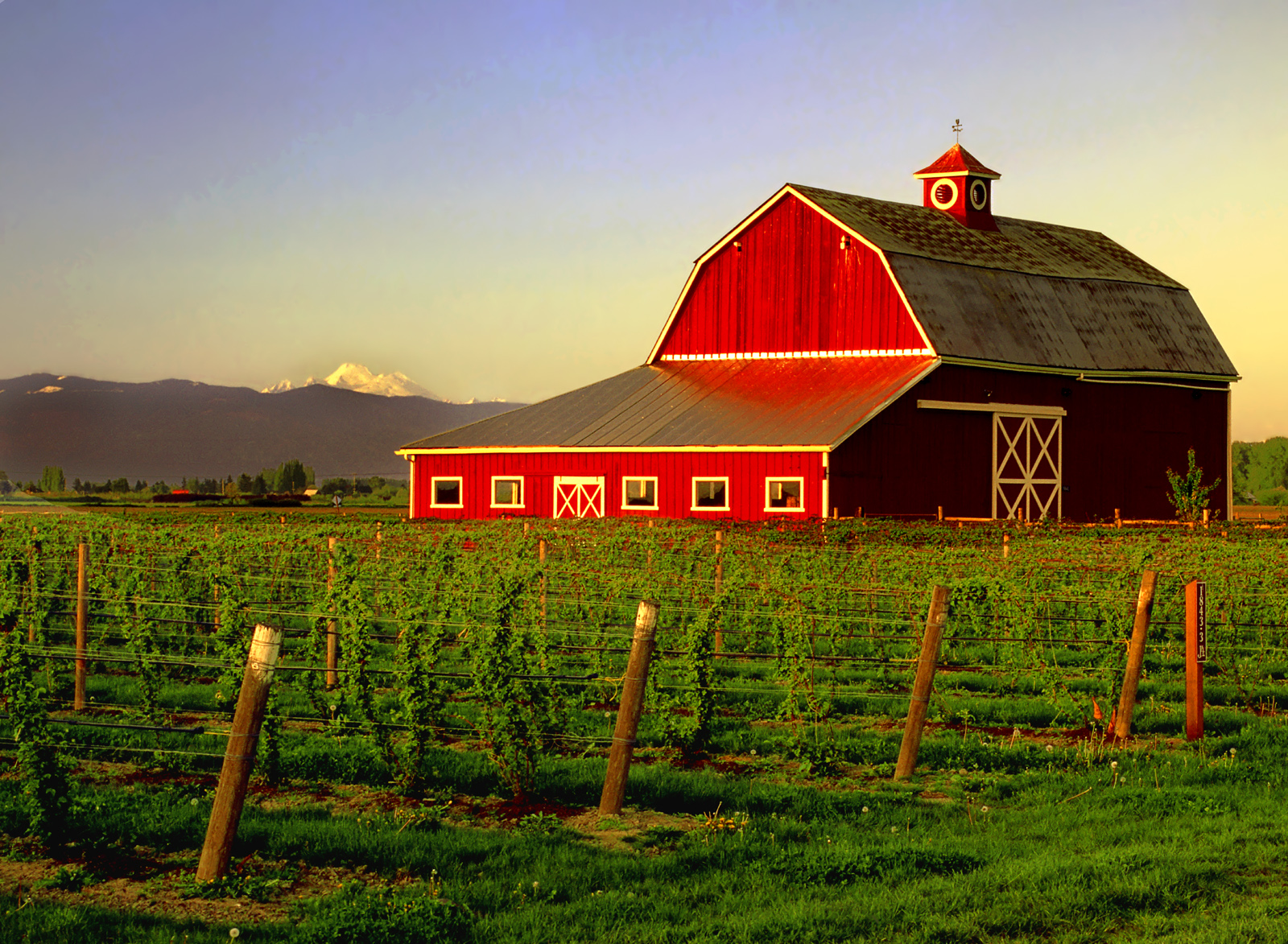 farmhouse wallpaper,barn,farm,rural area,grassland,sky