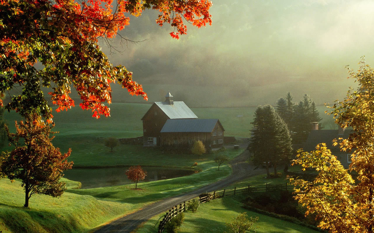 farmhouse wallpaper,nature,natural landscape,sky,tree,leaf