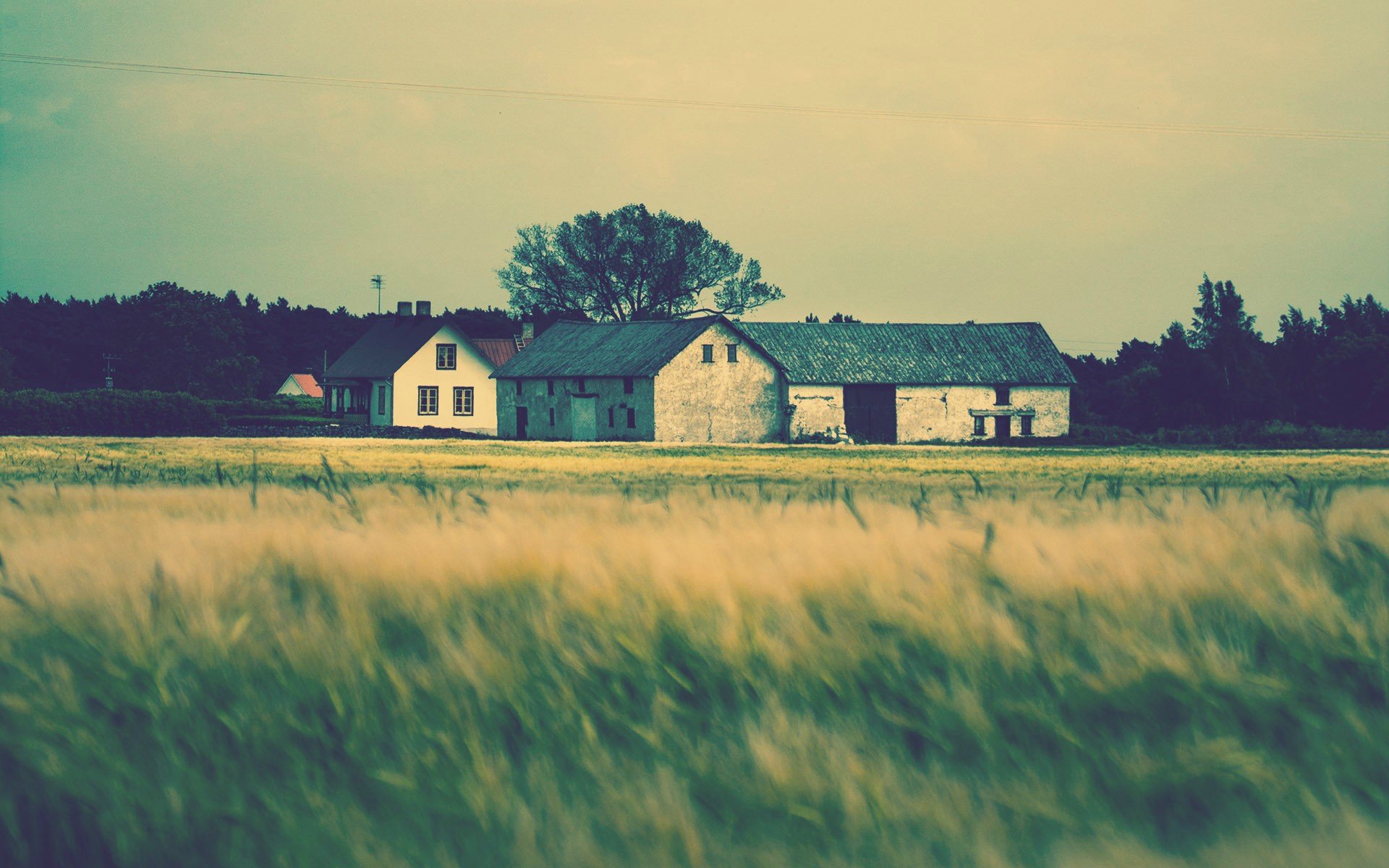 papel pintado de la casa de campo,cielo,verde,casa,granja,área rural