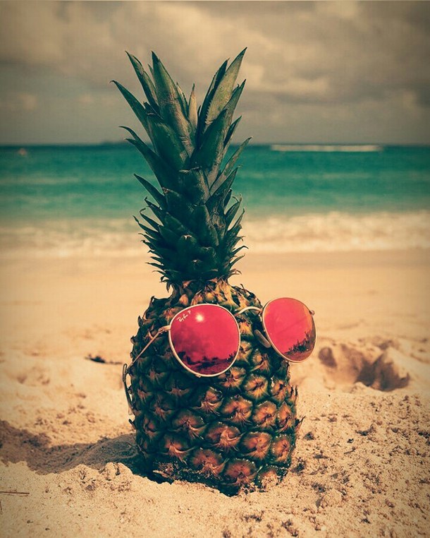 lindo fondo de pantalla de piña,piña,ananas,fruta,palmera,vacaciones