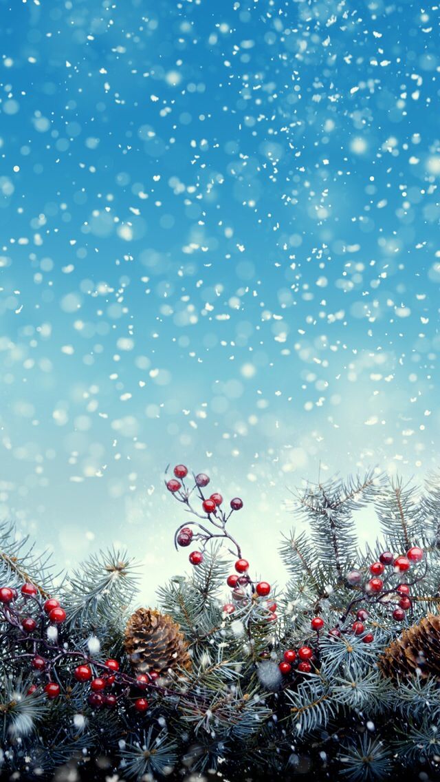 크리스마스 전화 벽지,나무,하늘,겨울,식물,눈