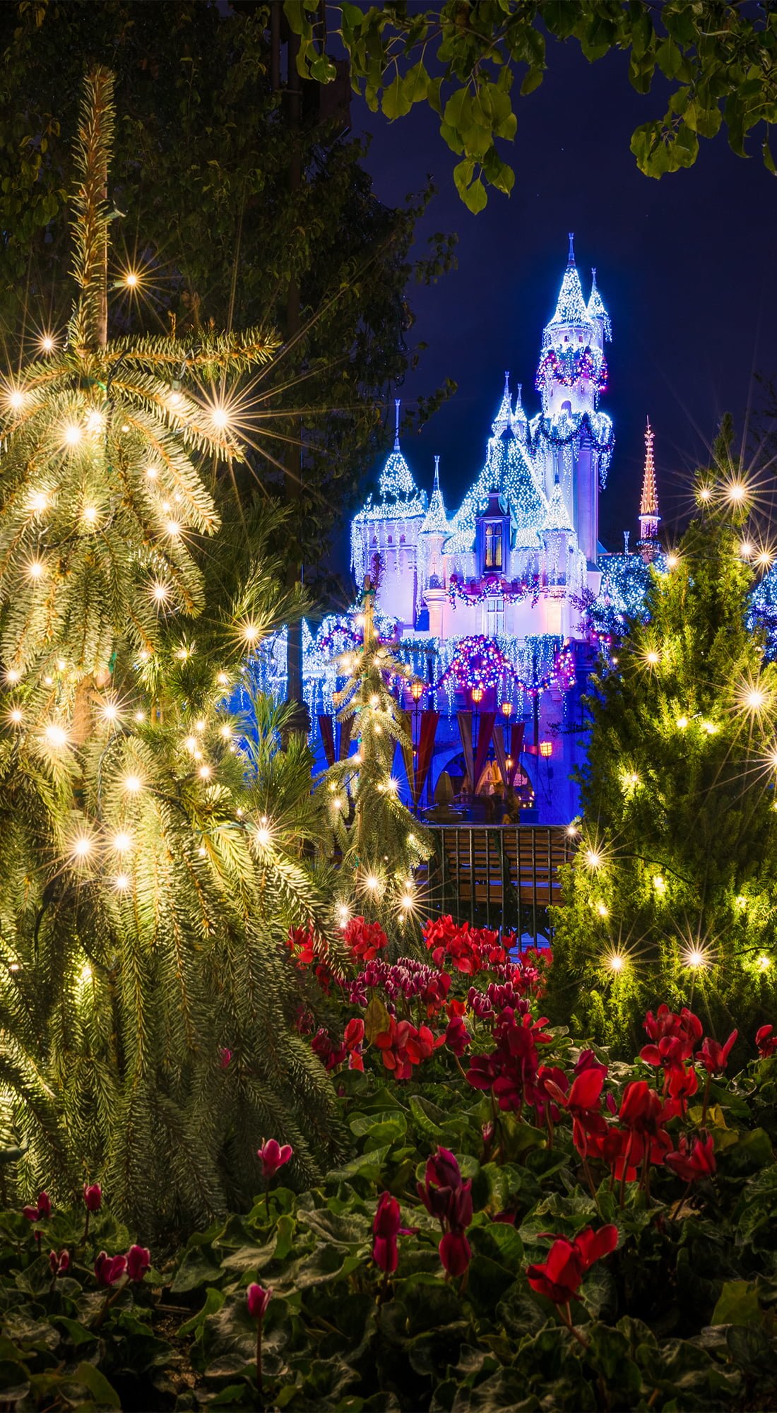 carta da parati del telefono di natale,natale,vigilia di natale,albero,illuminazione,albero di natale