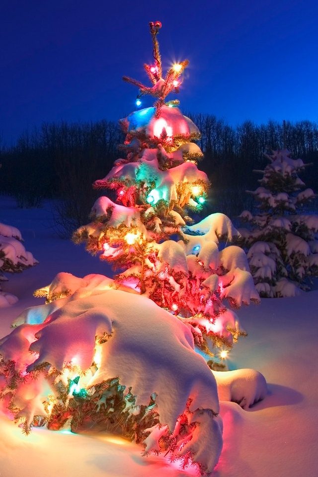 クリスマスの電話の壁紙,クリスマスツリー,クリスマス,クリスマスの飾り,クリスマス・イブ,木