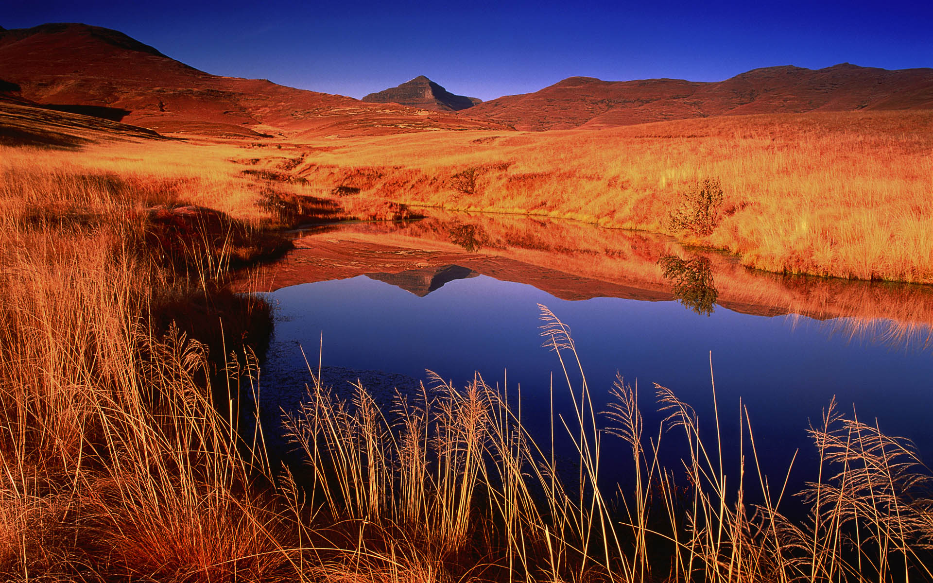 carta da parati sud africa,paesaggio naturale,natura,riflessione,lago,paesaggio